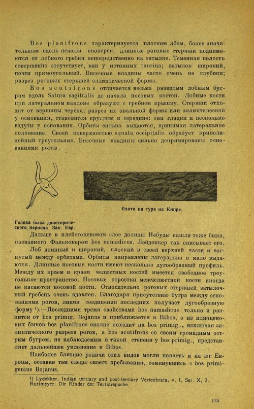 Страница 179