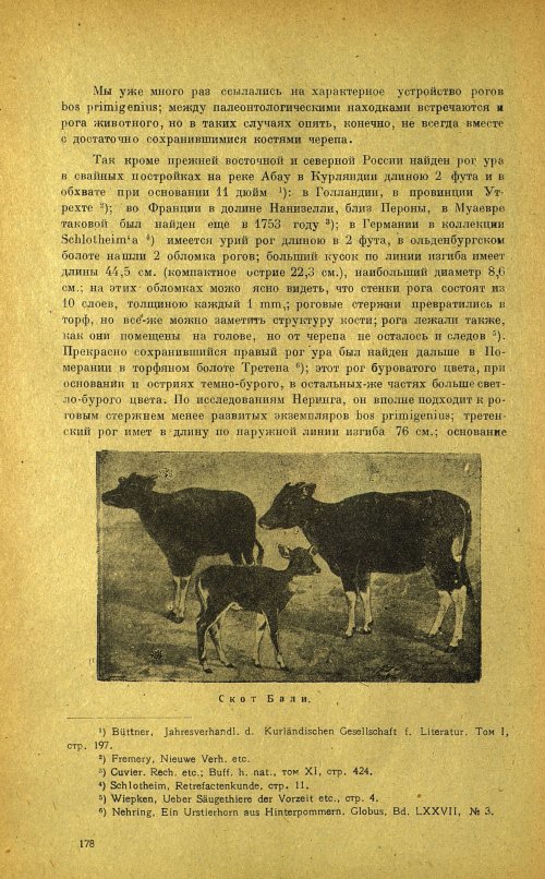 Страница 182