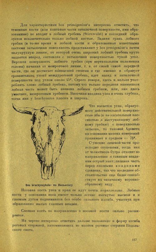 Страница 191