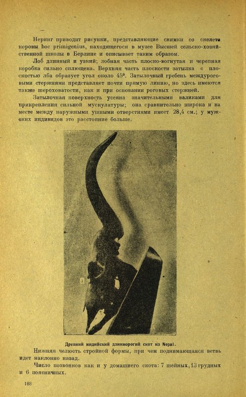 Страница 192