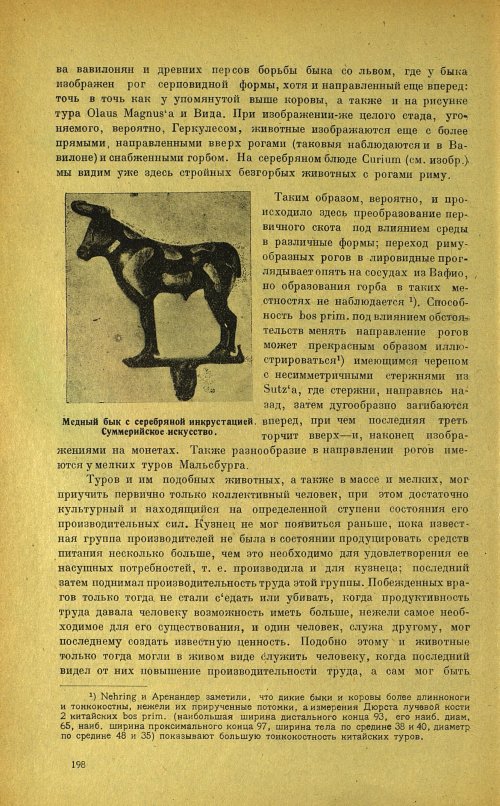Страница 202