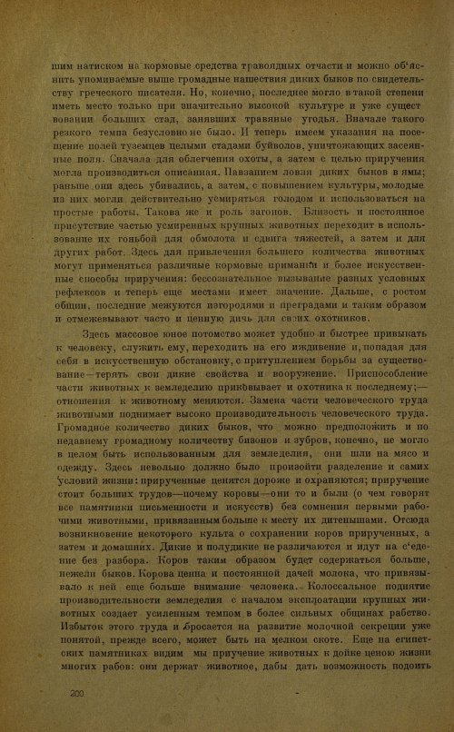 Страница 204