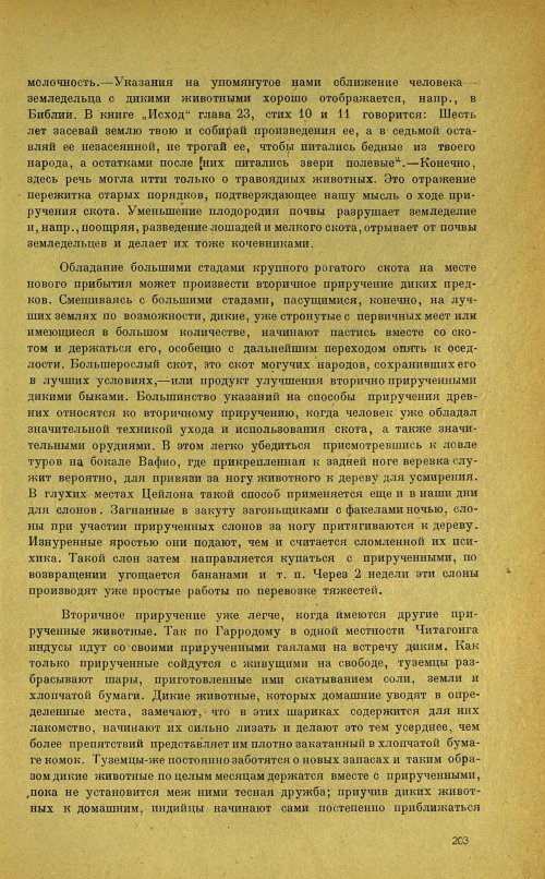 Страница 207