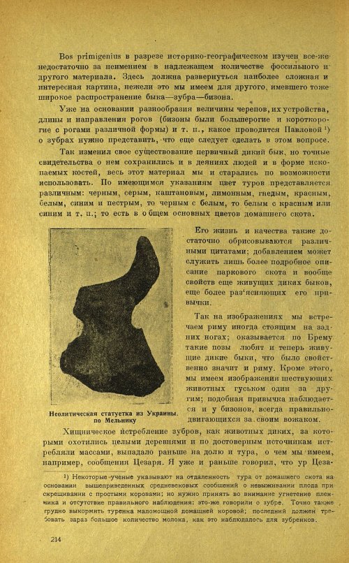 Страница 218