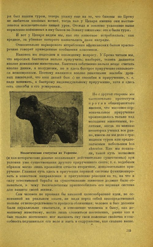 Страница 219