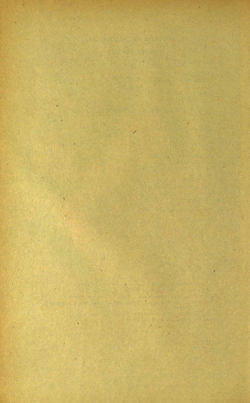 Страница 262