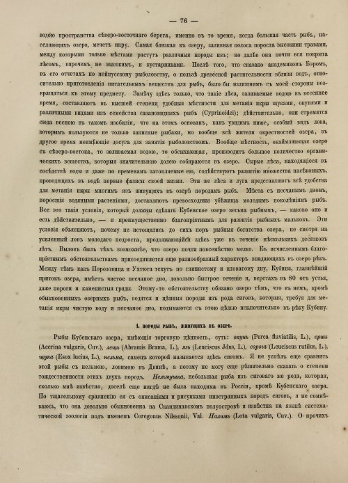 Страница 94