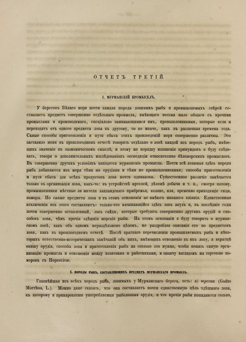 Страница 116