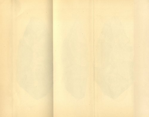 Страница 366