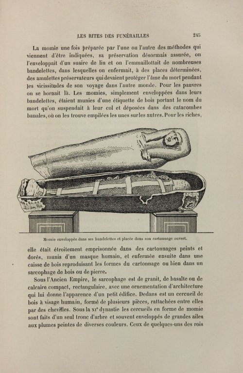 Страница 263
