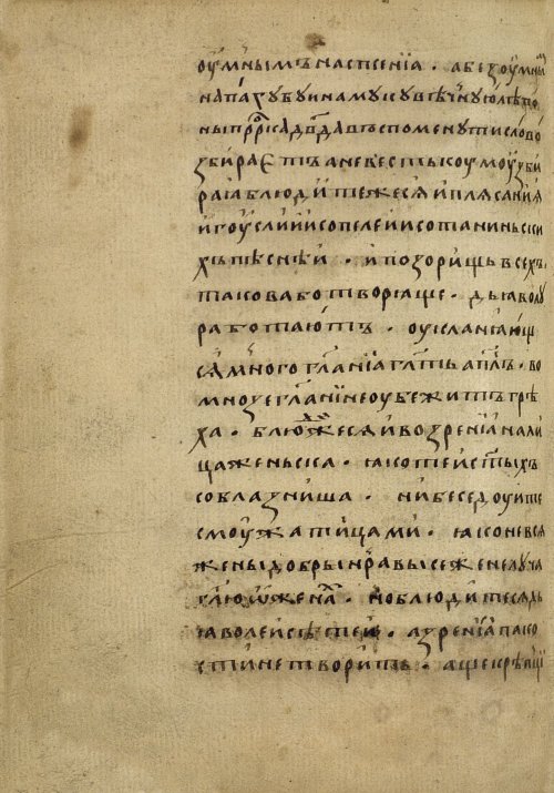 Страница 262