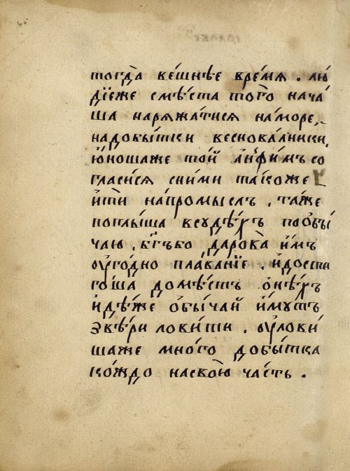 Страница 302