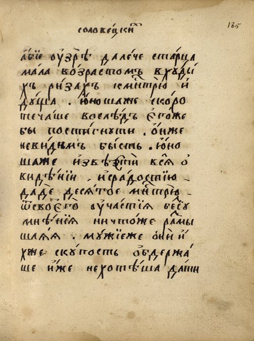 Страница 307