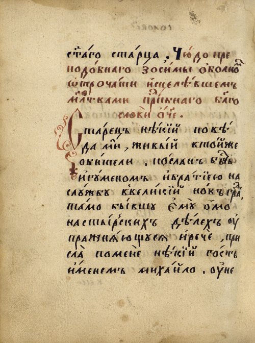Страница 310