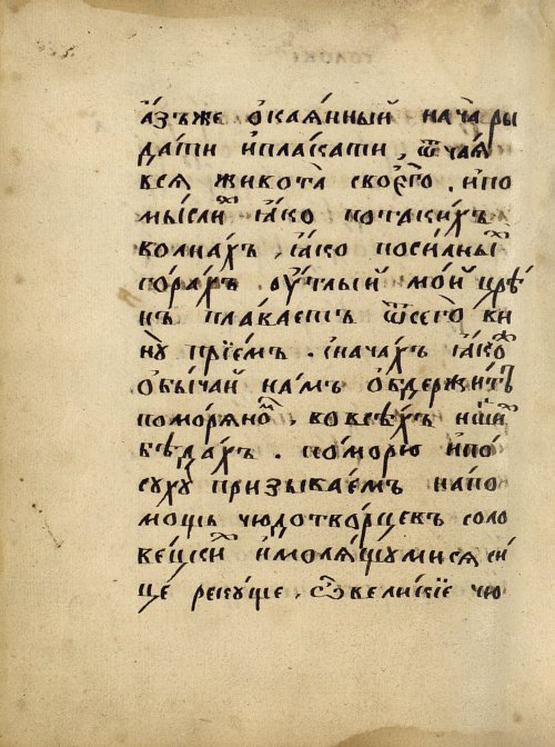 Страница 356