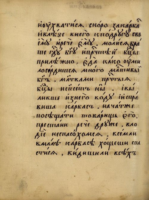 Страница 410