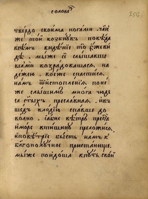 Страница 427