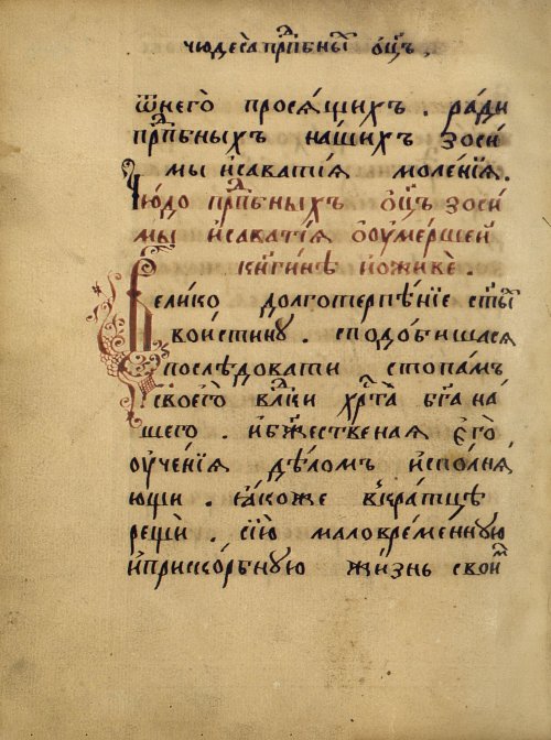 Страница 486
