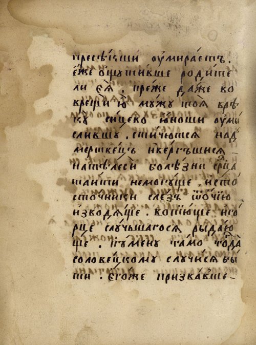 Страница 910