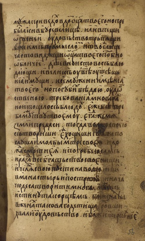 Страница 113