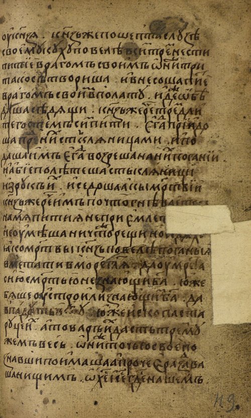 Страница 239