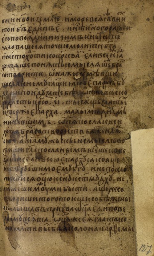 Страница 255