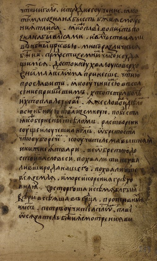 Страница 519