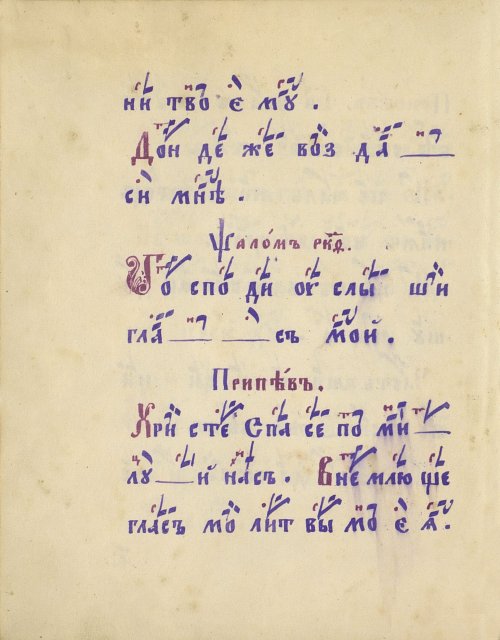 Страница 26