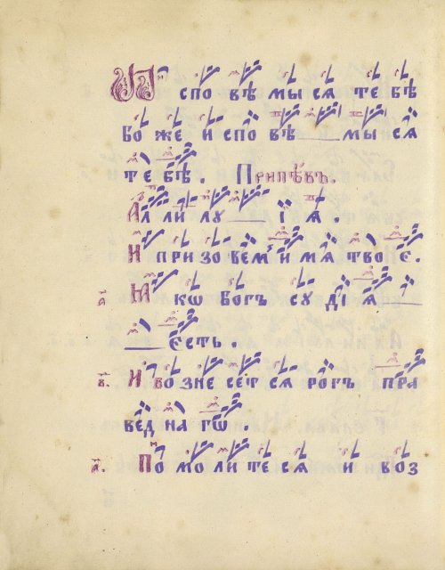 Страница 146