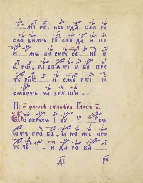 Страница 215