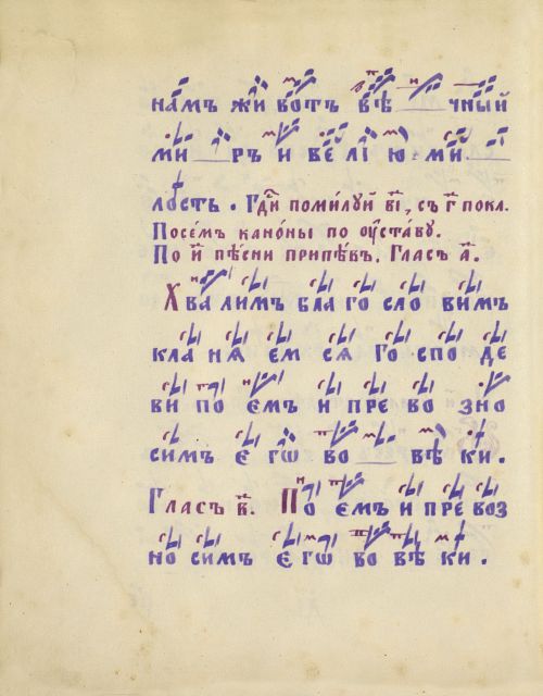 Страница 216