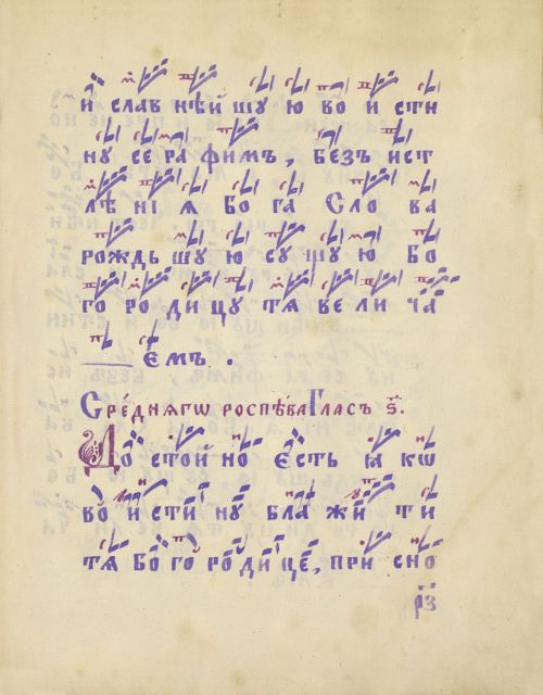 Страница 219