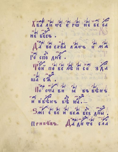 Страница 224