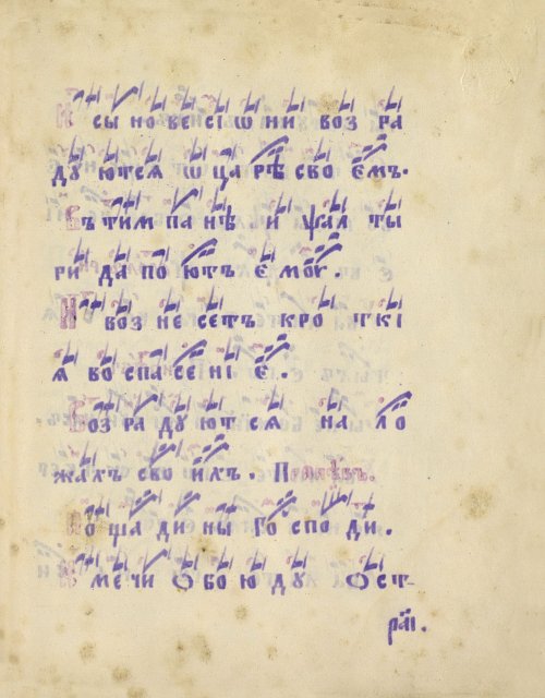Страница 227