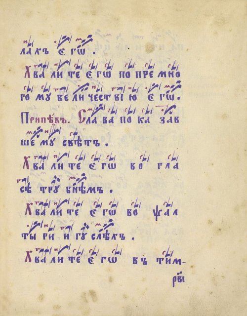 Страница 229