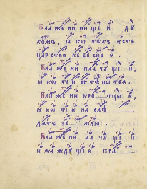 Страница 264