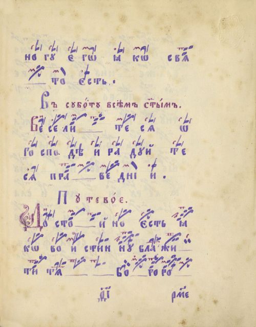 Страница 295