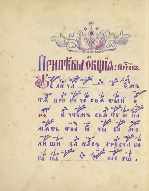 Страница 306