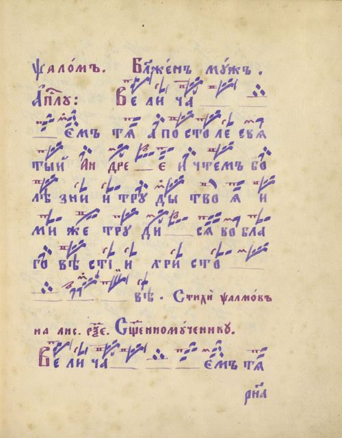 Страница 307