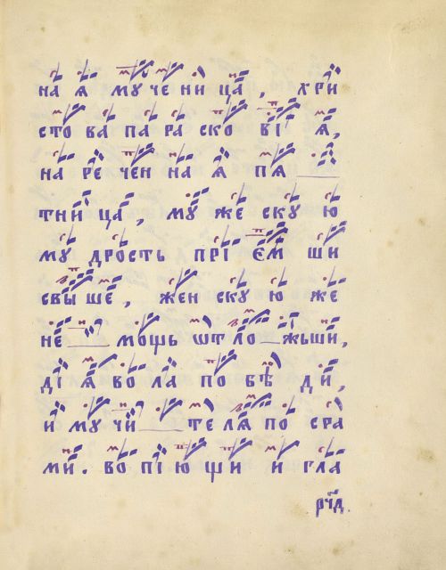 Страница 393