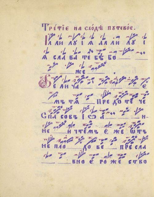 Страница 492