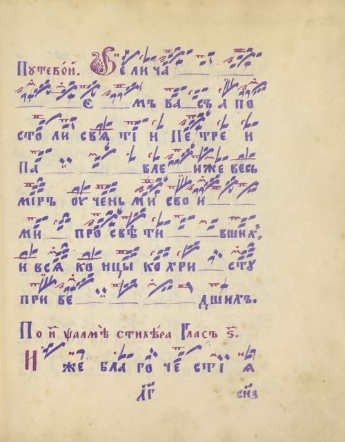 Страница 519