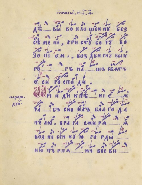 Страница 24