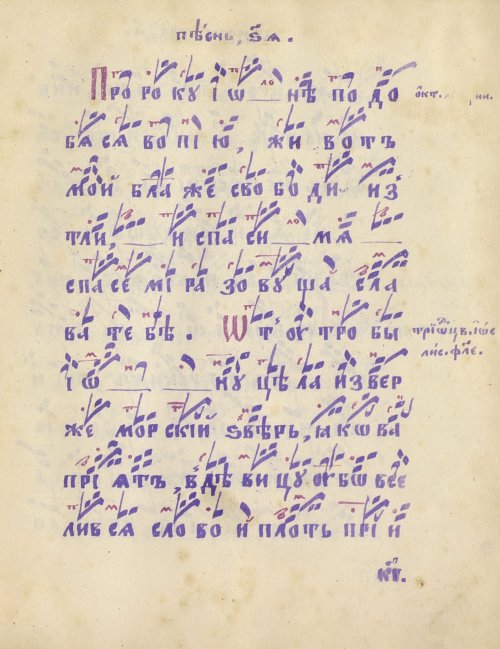 Страница 51