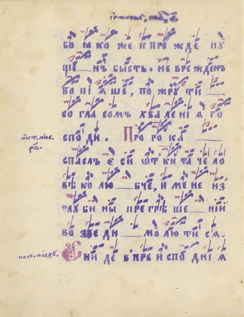 Страница 54