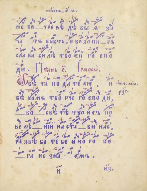 Страница 119