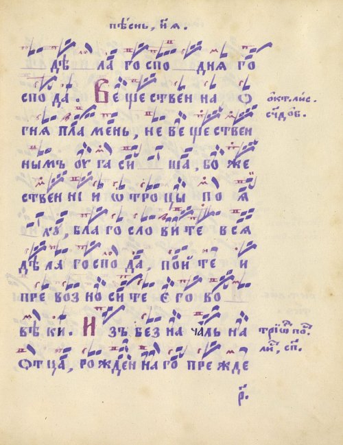 Страница 205