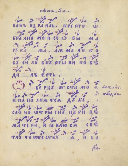 Страница 219