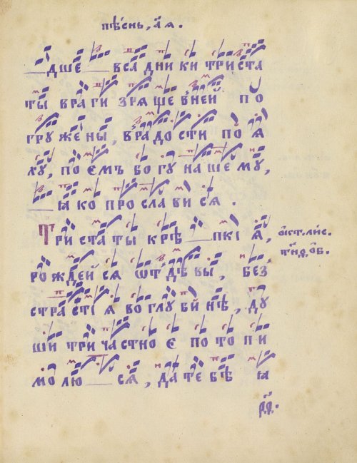 Страница 223