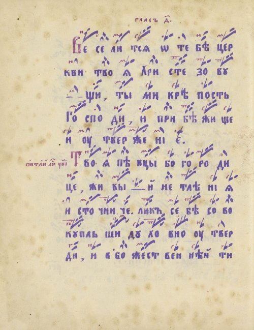 Страница 232